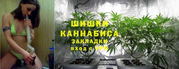 2c-b Алзамай