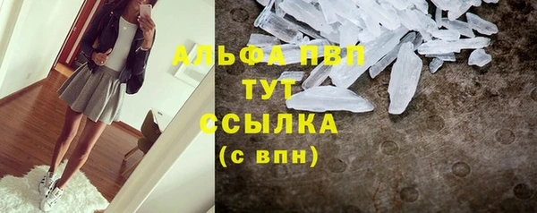 шишки Алексин